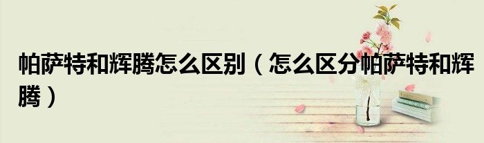 帕薩特和輝騰怎么區(qū)別（怎么區(qū)分帕薩特和輝騰）