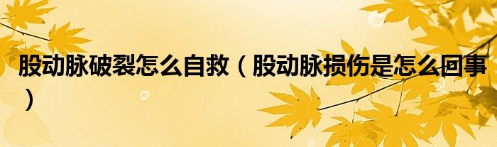 股動(dòng)脈破裂怎么自救（股動(dòng)脈損傷是怎么回事）