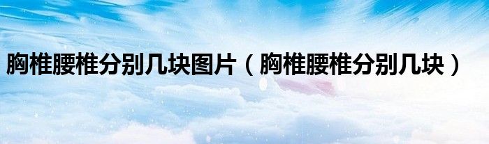 胸椎腰椎分別幾塊圖片（胸椎腰椎分別幾塊）