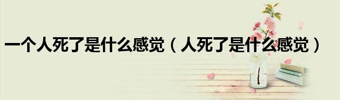 一個人死了是什么感覺（人死了是什么感覺）