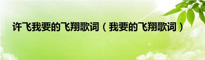 許飛我要的飛翔歌詞（我要的飛翔歌詞）