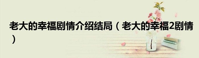 老大的幸福劇情介紹結(jié)局（老大的幸福2劇情）