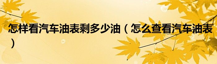 怎樣看汽車油表剩多少油（怎么查看汽車油表）