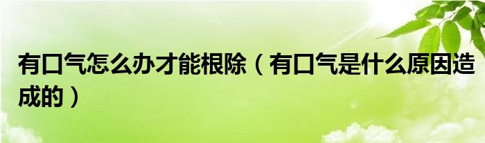 有口氣怎么辦才能根除（有口氣是什么原因造成的）
