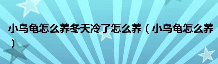 小烏龜怎么養(yǎng)冬天冷了怎么養(yǎng)（小烏龜怎么養(yǎng)）