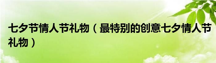 七夕節(jié)情人節(jié)禮物（最特別的創(chuàng)意七夕情人節(jié)禮物）