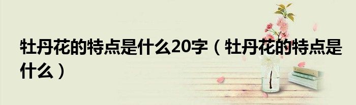 牡丹花的特點(diǎn)是什么20字（牡丹花的特點(diǎn)是什么）