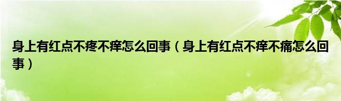 身上有紅點(diǎn)不疼不癢怎么回事（身上有紅點(diǎn)不癢不痛怎么回事）