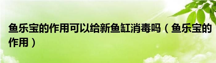 魚樂寶的作用可以給新魚缸消毒嗎（魚樂寶的作用）
