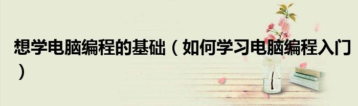 想學(xué)電腦編程的基礎(chǔ)（如何學(xué)習(xí)電腦編程入門）
