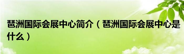 琶洲國際會展中心簡介（琶洲國際會展中心是什么）