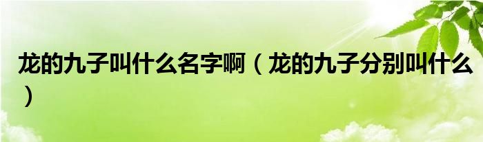 龍的九子叫什么名字啊（龍的九子分別叫什么）