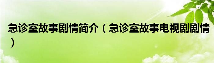 急診室故事劇情簡(jiǎn)介（急診室故事電視劇劇情）