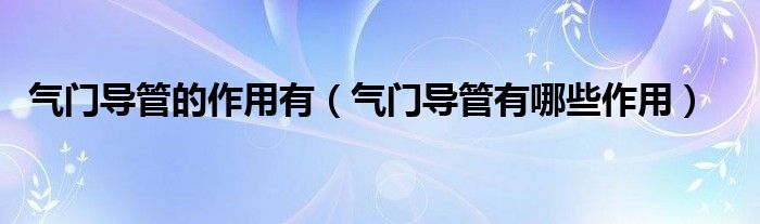 氣門導(dǎo)管的作用有（氣門導(dǎo)管有哪些作用）