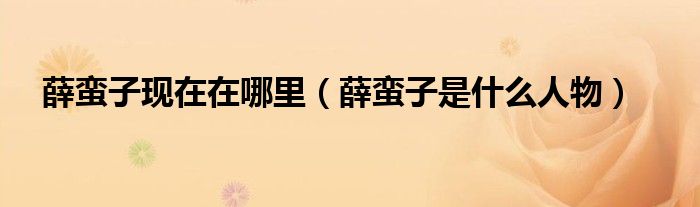 薛蠻子現(xiàn)在在哪里（薛蠻子是什么人物）