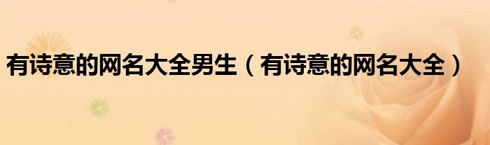 有詩意的網(wǎng)名大全男生（有詩意的網(wǎng)名大全）