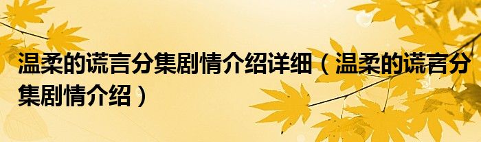 溫柔的謊言分集劇情介紹詳細(xì)（溫柔的謊言分集劇情介紹）