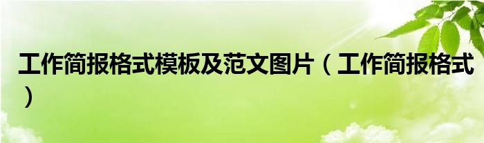 工作簡(jiǎn)報(bào)格式模板及范文圖片（工作簡(jiǎn)報(bào)格式）
