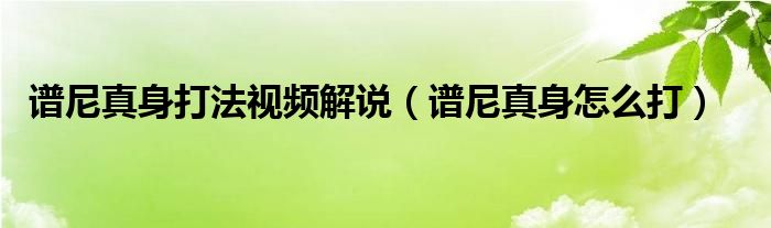譜尼真身打法視頻解說（譜尼真身怎么打）