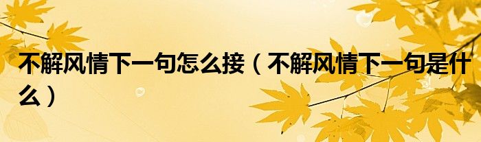 不解風(fēng)情下一句怎么接（不解風(fēng)情下一句是什么）