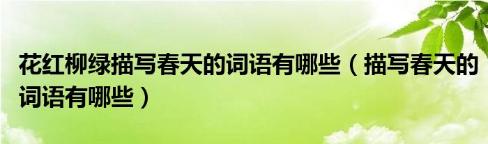 花紅柳綠描寫(xiě)春天的詞語(yǔ)有哪些（描寫(xiě)春天的詞語(yǔ)有哪些）