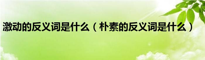 激動的反義詞是什么（樸素的反義詞是什么）