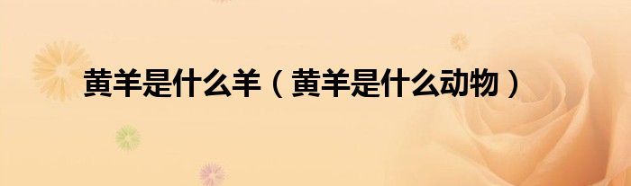 黃羊是什么羊（黃羊是什么動物）