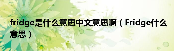 fridge是什么意思中文意思?。‵ridge什么意思）