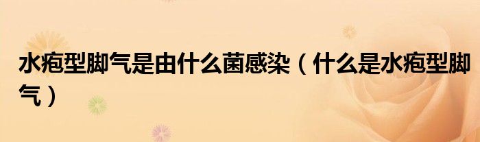水皰型腳氣是由什么菌感染（什么是水皰型腳氣）
