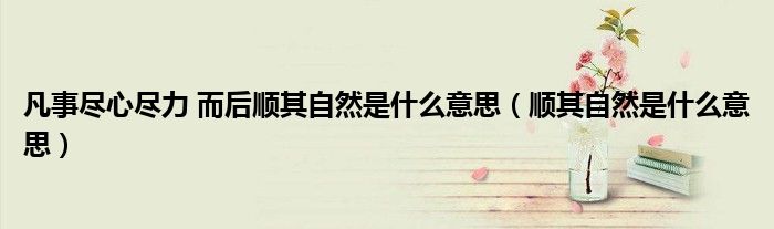 凡事盡心盡力 而后順其自然是什么意思（順其自然是什么意思）