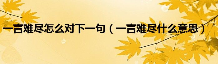 一言難盡怎么對下一句（一言難盡什么意思）