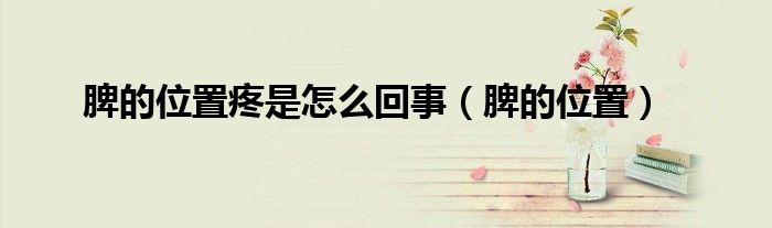 脾的位置疼是怎么回事（脾的位置）