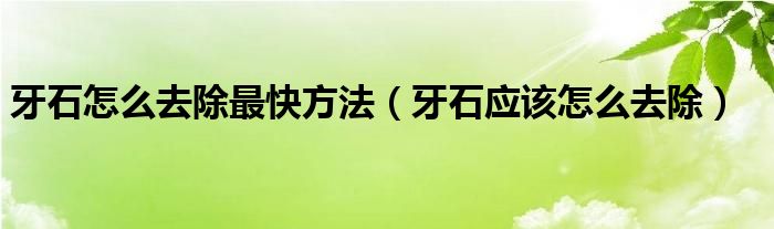 牙石怎么去除最快方法（牙石應(yīng)該怎么去除）