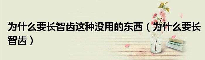 為什么要長(zhǎng)智齒這種沒用的東西（為什么要長(zhǎng)智齒）