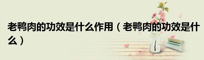 老鴨肉的功效是什么作用（老鴨肉的功效是什么）