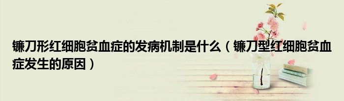 鐮刀形紅細(xì)胞貧血癥的發(fā)病機(jī)制是什么（鐮刀型紅細(xì)胞貧血癥發(fā)生的原因）