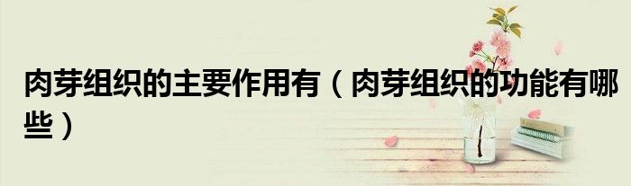 肉芽組織的主要作用有（肉芽組織的功能有哪些）