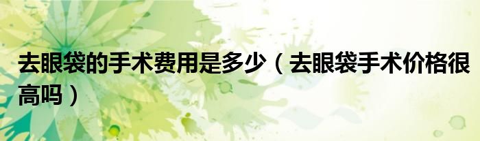 去眼袋的手術(shù)費(fèi)用是多少（去眼袋手術(shù)價(jià)格很高嗎）