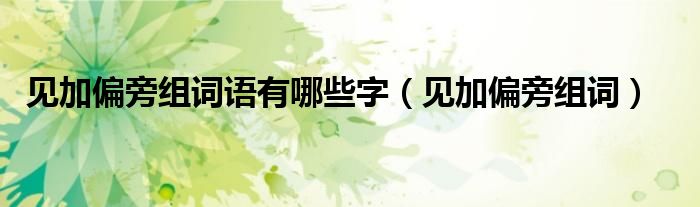 見加偏旁組詞語(yǔ)有哪些字（見加偏旁組詞）