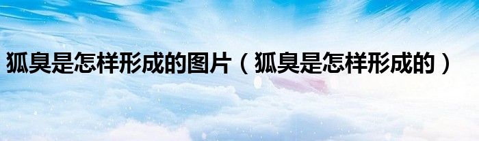 狐臭是怎樣形成的圖片（狐臭是怎樣形成的）