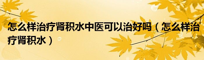 怎么樣治療腎積水中醫(yī)可以治好嗎（怎么樣治療腎積水）