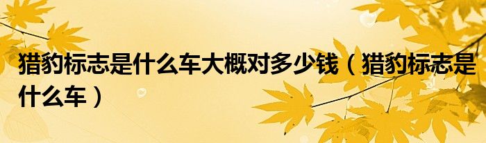 獵豹標(biāo)志是什么車大概對(duì)多少錢（獵豹標(biāo)志是什么車）