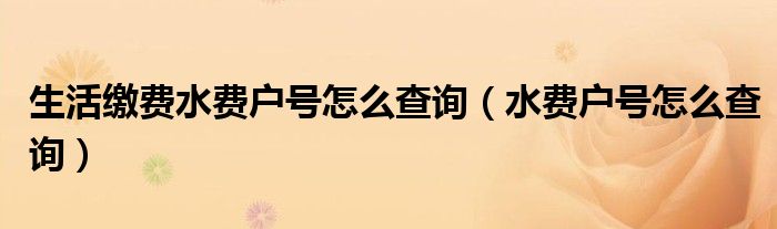 生活繳費水費戶號怎么查詢（水費戶號怎么查詢）