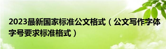 2023最新國(guó)家標(biāo)準(zhǔn)公文格式（公文寫作字體字號(hào)要求標(biāo)準(zhǔn)格式）