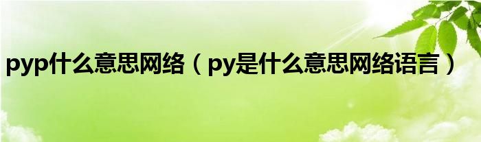pyp什么意思網(wǎng)絡(luò)（py是什么意思網(wǎng)絡(luò)語(yǔ)言）
