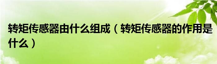 轉(zhuǎn)矩傳感器由什么組成（轉(zhuǎn)矩傳感器的作用是什么）
