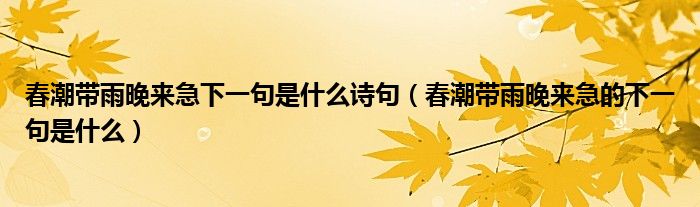 春潮帶雨晚來急下一句是什么詩句（春潮帶雨晚來急的下一句是什么）