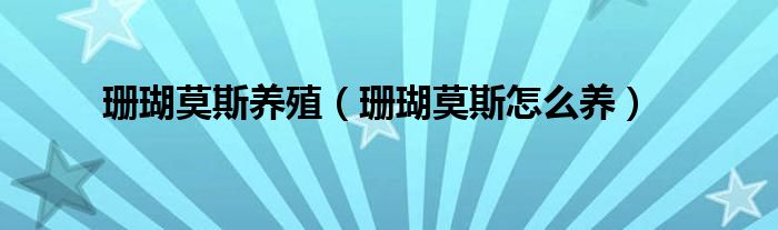 珊瑚莫斯養(yǎng)殖（珊瑚莫斯怎么養(yǎng)）