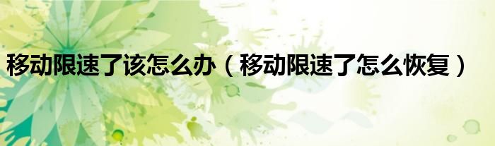 移動(dòng)限速了該怎么辦（移動(dòng)限速了怎么恢復(fù)）