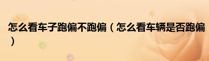 怎么看車子跑偏不跑偏（怎么看車輛是否跑偏）